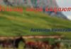 Почему люди падают? – Николай Антонюк Николай Антонюк