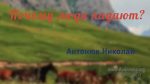 Николай Антонюк