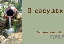 О сосудах – Николай Антонюк О сосудах - Николай Антонюк