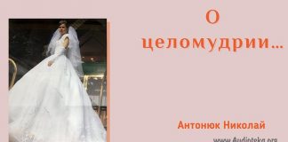 О целомудрии – Николай Антонюк О целомудрии - Николай Антонюк