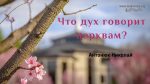 Что Дух говорит церквам? – Николай Антонюк