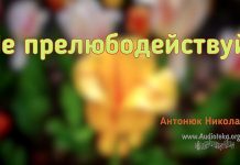 Не прелюбодействуй – Николай Антонюк Не прелюбодействуй - Николай Антонюк