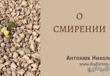 О смирении – Николай Антонюк О смирении - Николай Антонюк