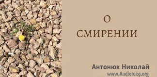 О смирении – Николай Антонюк О смирении - Николай Антонюк