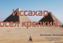 “Иссахар – осёл крепкий” – Николай Антонюк "Иссахар – осёл крепкий" - Николай Антонюк