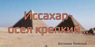 “Иссахар – осёл крепкий” – Николай Антонюк "Иссахар – осёл крепкий" - Николай Антонюк