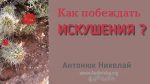 Как побеждать искушения? – Николай Антонюк