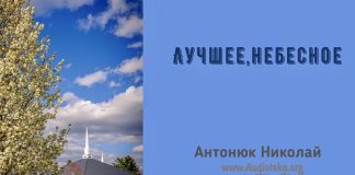 Лучшее, небесное – Николай Антонюк Лучшее, небесное - Николай Антонюк