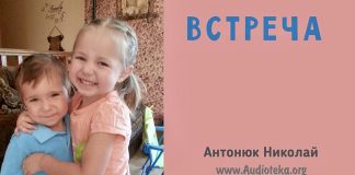 Встреча – Николай Антонюк Встреча - Николай Антонюк