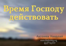 Время Господу действовать – Николай Антонюк Время Господу действовать - Николай Антонюк