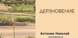 Дерзновение – Николай Антонюк Дерзновение - Николай Антонюк