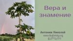 Вера и знамение – Николай Антонюк