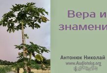 Вера и знамение – Николай Антонюк Вера и знамение - Николай Антонюк
