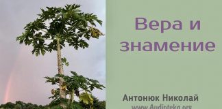 Вера и знамение – Николай Антонюк Вера и знамение - Николай Антонюк