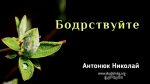 Бодрствуйте – Николай Антонюк