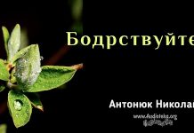 Бодрствуйте – Николай Антонюк Бодрствуйте – Николай Антонюк