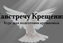 Навстречу Крещению – Виталий Бойко Навстречу Крещению