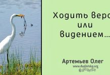 Ходить верой или видением – Олег Артемьев Ходить верой или видением - Олег Артемьев