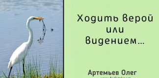 Ходить верой или видением – Олег Артемьев Ходить верой или видением - Олег Артемьев