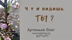 Что видишь ты? – Олег Артемьев