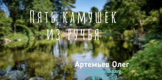 Пять камушек из ручья – Олег Артемьев Пять камушек из ручья - Олег Артемьев