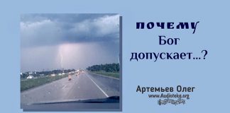Почему Бог допускает…? – Олег Артемьев Почему Бог допускает…? – Олег Артемьев