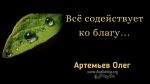 Всё содействует ко благу – Олег Артемьев Олег Артемьев