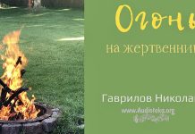 Огонь на жертвеннике – Гаврилов Николай Огонь на жертвеннике - Гаврилов Николай