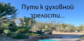 Путь к духовной зрелости (2) – Евгений Бахмутский Евгений Бахмутский