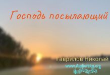 Господь посылающий – Гаврилов Николай Господь посылающий - Гаврилов Николай