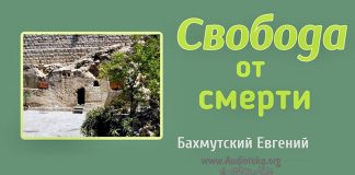 Свобода от смерти – Евгений Бахмутский Евгений Бахмутский