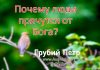 Почему люди прячутся от Бога? – Грубий Петр Почему люди прячутся от Бога? - Грубий Петр