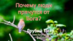 Почему люди прячутся от Бога? – Грубий Петр