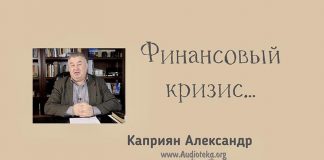 Финансовый кризис – Каприян Александр Финансовый кризис - Каприян Александр
