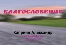 Благословение – Каприян Александр Благословение - Каприян Александр
