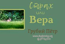 Страх или вера – Грубий Петр Страх или вера - Грубий Петр