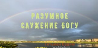 Разумное служение Богу – Гетьман Вадим Разумное служение Богу - Гетьман Вадим