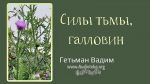 Силы тьмы, галловин – Гетьман Вадим Силы тьмы, галловин - Гетьман Вадим