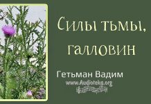 Силы тьмы, галловин – Гетьман Вадим Силы тьмы, галловин - Гетьман Вадим