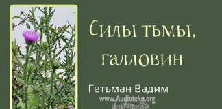 Силы тьмы, галловин – Гетьман Вадим Силы тьмы, галловин - Гетьман Вадим