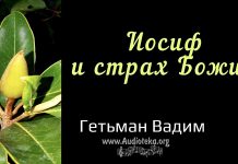 Иосиф и страх Божий – Гетьман Вадим Иосиф и страх Божий - Гетьман Вадим