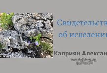 Свидетельства об исцелении – Каприян Александр Свидетельства об исцелении - Каприян Александр