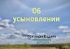 Об усыновлении – Гетьман Вадим Об усыновлении - Гетьман Вадим
