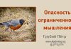Опасность ограниченного мышления – Грубий Петр Опасность ограниченного мышления - Грубий Петр
