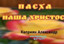 Пасха наша Христос – Каприян Александр Пасха наша Христос - Каприян Александр