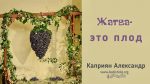 Жатва – это плод – Каприян Александр Жатва - это плод - Каприян Александр