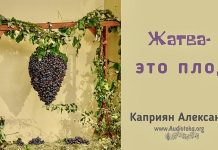Жатва – это плод – Каприян Александр Жатва - это плод - Каприян Александр