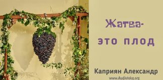 Жатва – это плод – Каприян Александр Жатва - это плод - Каприян Александр