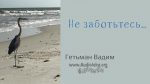 Не заботтесь – Гетьман Вадим Не заботтесь - Гетьман Вадим