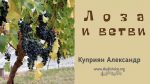 Лоза и ветви – Каприян Александр Лоза и ветви - Каприян Александр